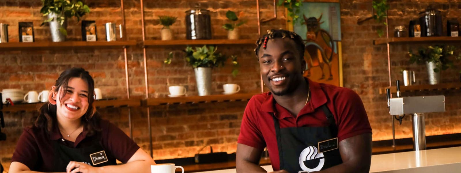 Beyu Caffé cover