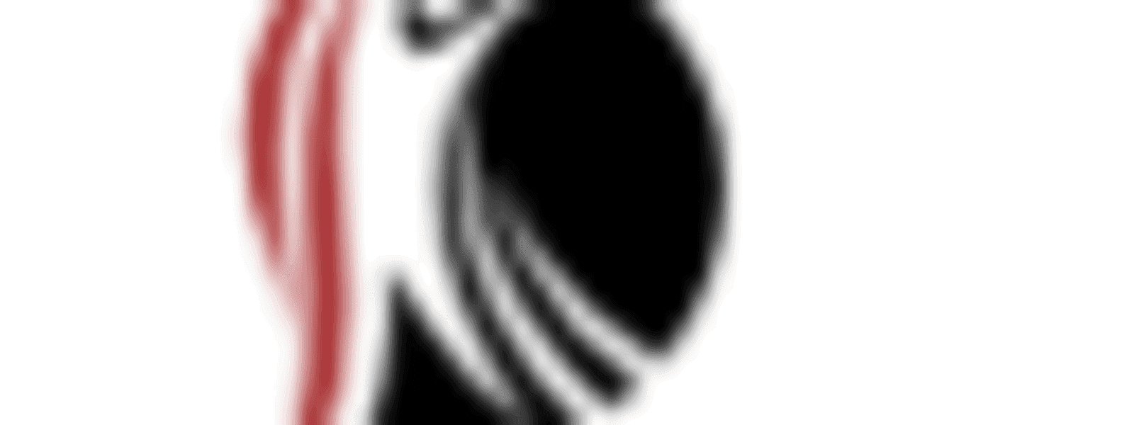 REDTRIM LLC cover