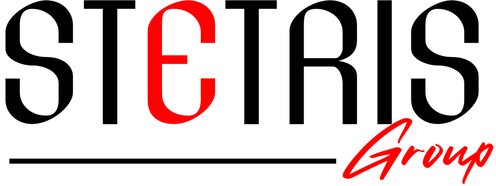 STETRIS GROUP LLC, THE cover