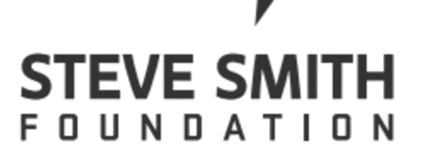 STEVE SMITH FAMILY FOUNDATION, THE cover