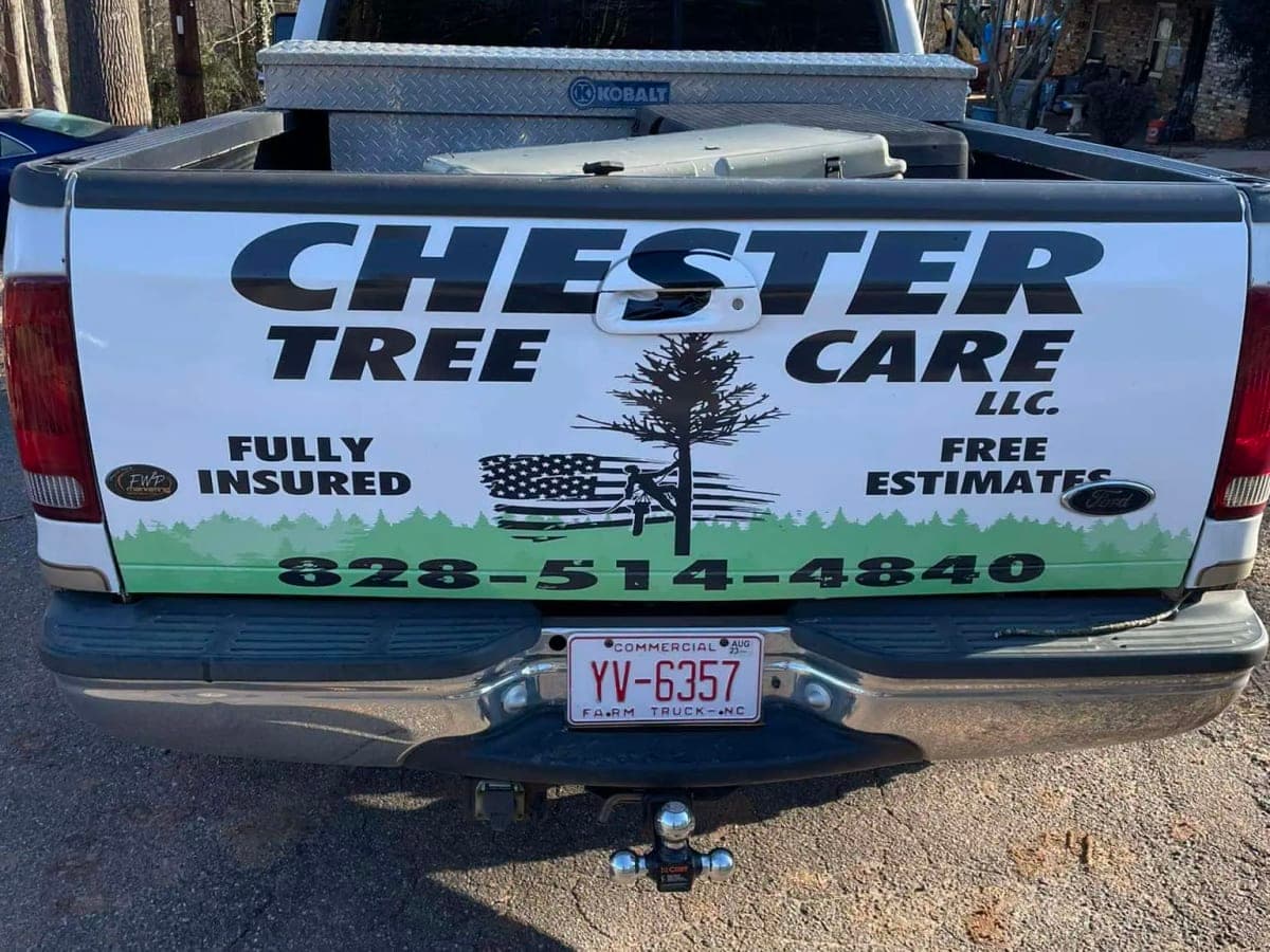Chester Tree Care cover