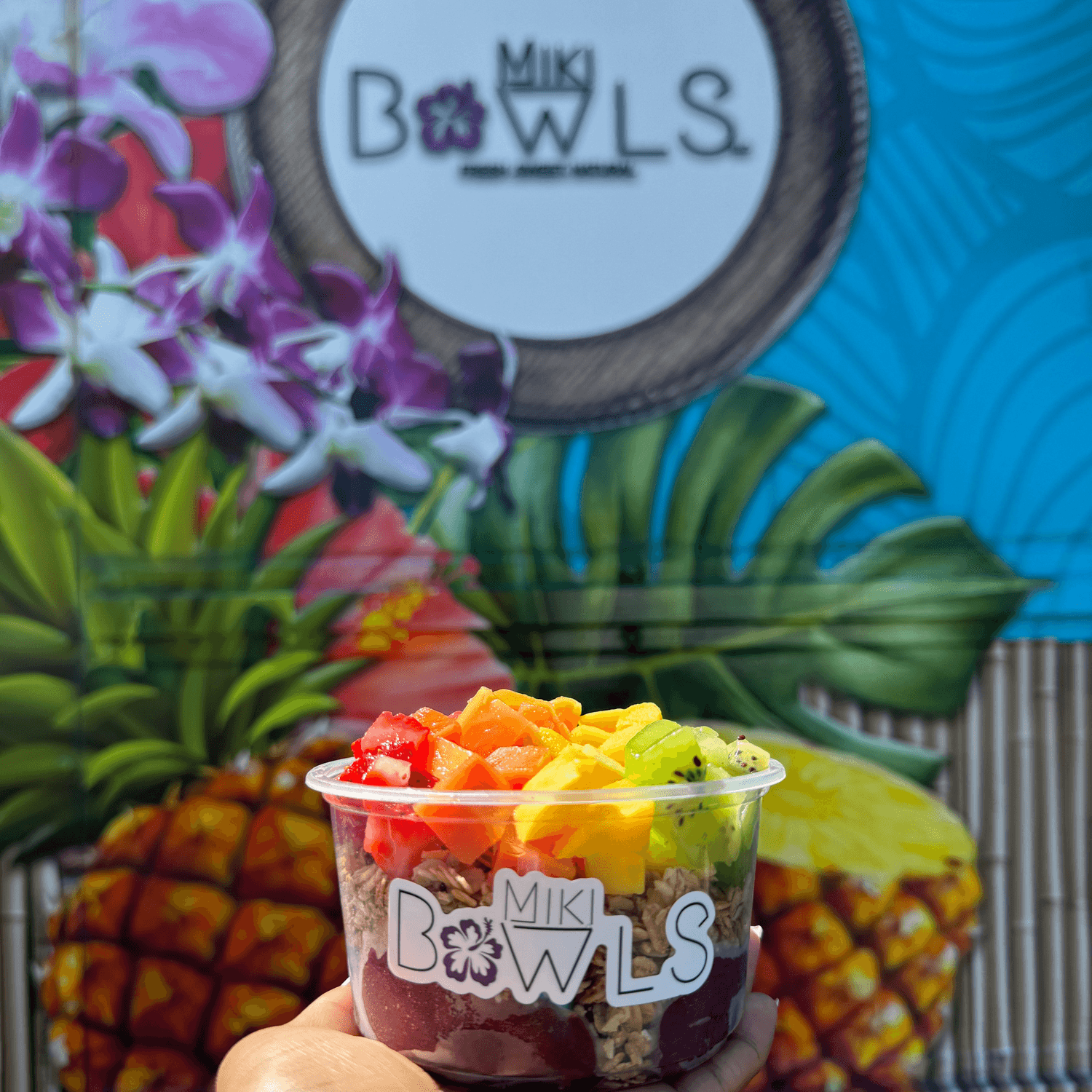 Miki Bowls cover